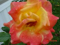 Fall 2010 023.JPG
