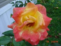 Fall 2010 022.JPG