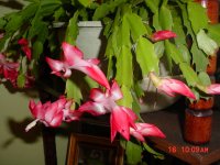 Fall 2010 016.JPG