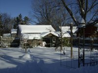 snow 1-2011 001.jpg
