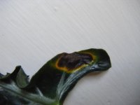 all pictures 882.jpg