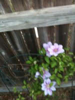 IMG_0633.jpg