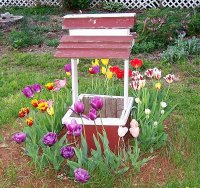Tulips 7.jpg