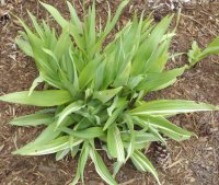 2011-05-03_13-14-43_350.jpg
