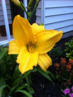 IMG_0723.jpg