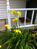 IMG_0742.jpg