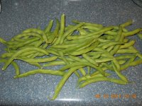 Green Beans.JPG