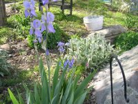 may 11 036.jpg