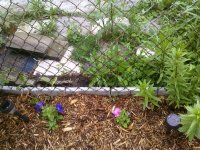 PRE_2011-06-04-202848.jpg