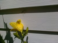 PRE_2011-06-17-150136.jpg