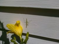 PRE_2011-06-17-150146.jpg