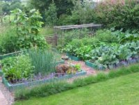 permaculture-garden.jpg