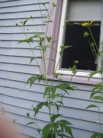 all pictures 1189.jpg