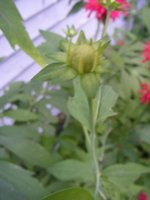 all pictures 1192.jpg