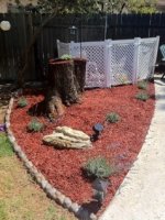 ImageUploadedByTapatalk1311272075.520288.jpg