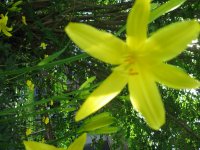 all pictures 969.jpg