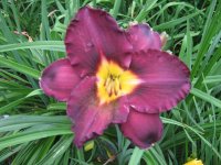 all pictures 1128.jpg