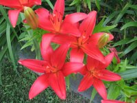 all pictures 1132.jpg