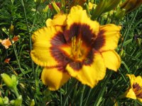 all pictures 1264.jpg