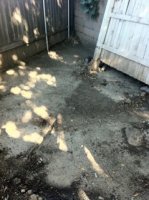 ImageUploadedByTapatalk1312507034.178171.jpg
