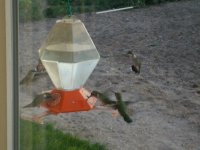 hummers.jpg