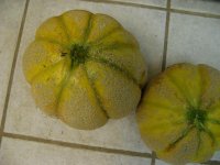 melons.jpg