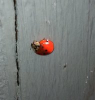 IMG_0865.jpg