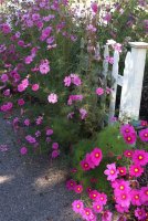 IMG_0856.jpg
