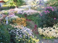 Flowers2012.jpg