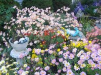 Flowers2010.jpg