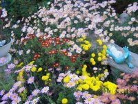 Flowers2006.jpg