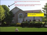 home front with tree small.jpg