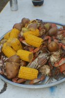 Dinner is served.jpg