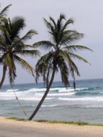 cayman 3 148 (2)smaller EM.jpg