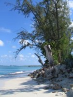 IMG_1322 (2) 200 x.jpg