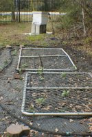 potatoes & bees (532x800).jpg