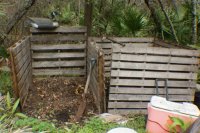 Compost & fish emulsion (800x532).jpg