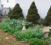 3-25-12flowers014.jpg