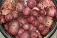 !st harvest (800x532).jpg