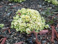 2012-04-24 19.15.52.jpg