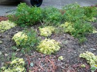 2012-04-24 19.16.16.jpg