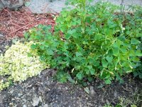 2012-04-24 19.16.48.jpg