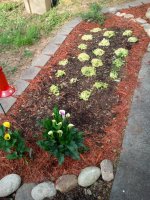 2012-04-26 08.43.14.jpg