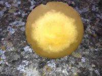 ImageUploadedByTapatalk1339523633.524883.jpg