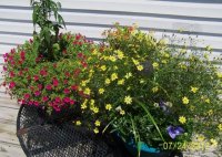Flowers7-24-12011.jpg