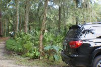Drive 1 (800x532).jpg