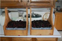 canning_0155a.JPG