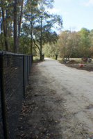 south fence looking west (532x800).jpg