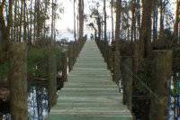 new dock (800x530).jpg