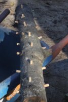 plug log (533x800).jpg